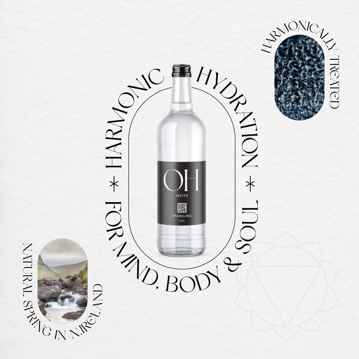 12 Bottles of 528Hz Harmonically Treated Sparkling Spring Water