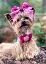 Rose Berry Plaid - Adjustable Dog Harness (XXS-XS)