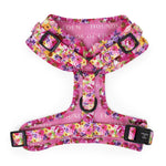 'Florentina' - Pink Floral Dog Harness