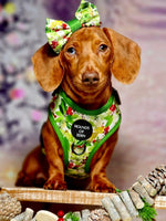 Winter Spruce & Berries Design Dog Harness