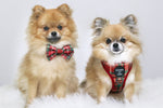 Tartan Me Up - Red & Cream Tartan Design Dog Harness