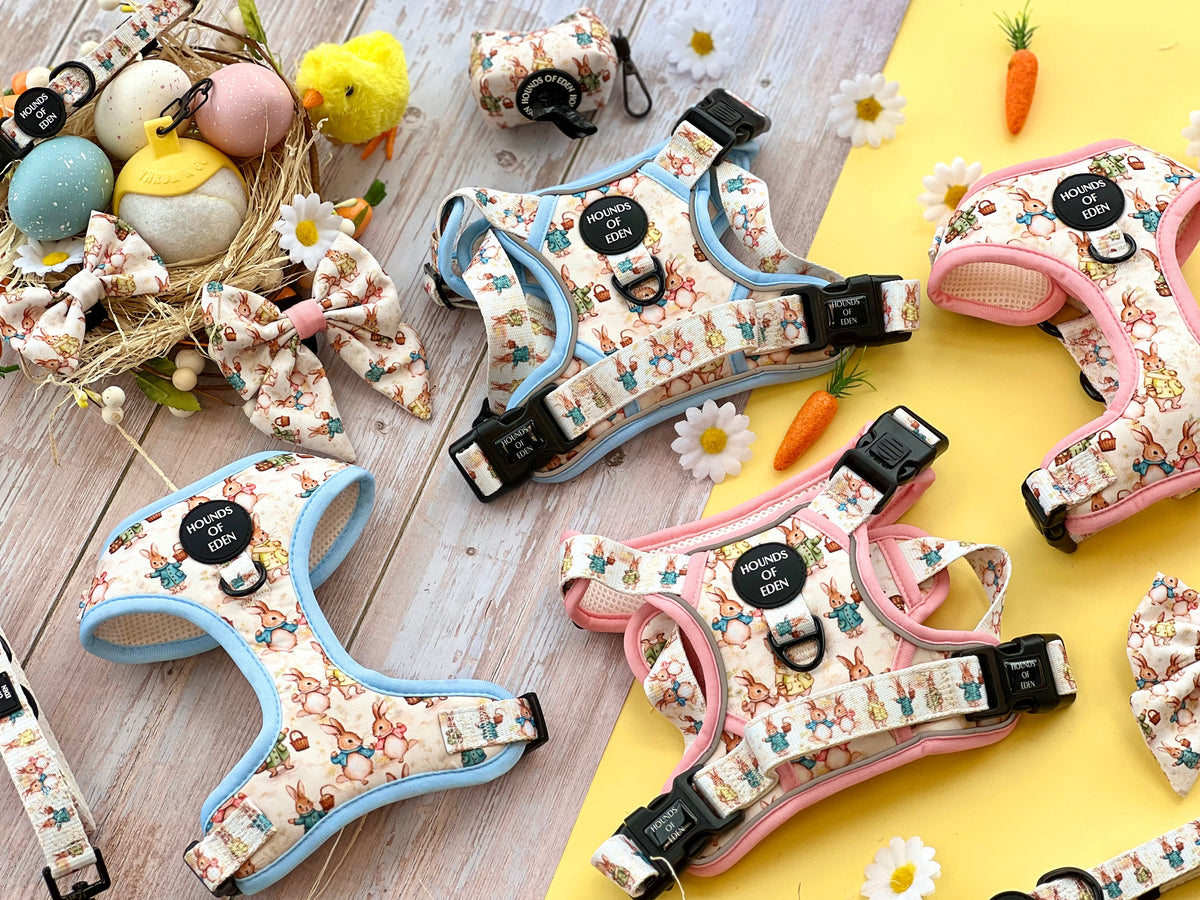 Bunny Tales - Blue, Dog Harness (XXS-XS)