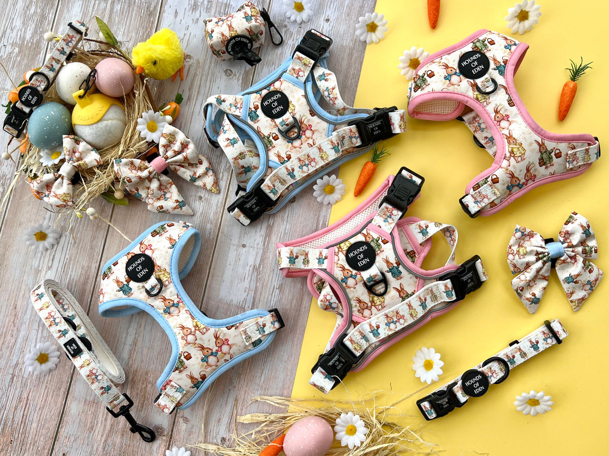 Bunny Tales Dog Collar