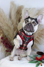 Tartan Me Up - Red & Cream Tartan Design Dog Harness