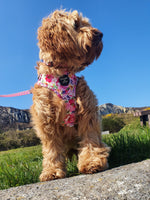 'Florentina' - Pink Floral Dog Harness