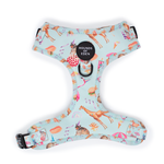 CIRCUS PUP - Dog Harness