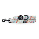 CIRCUS PUP - Dog Harness
