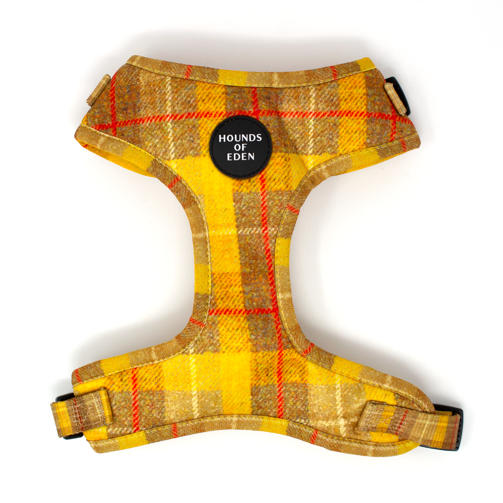 'Honey' - Yellow Check Dog Harness