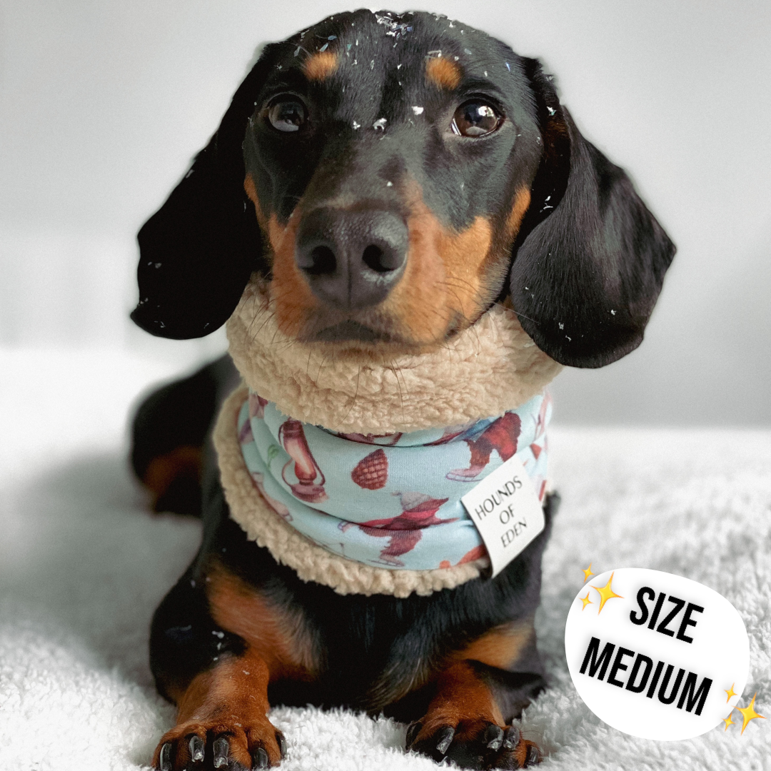 Autumn Blossom Faux Sherpa Fleece Dog Snood