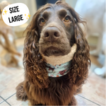 Ferntastic Faux Sherpa Fleece Dog Snood