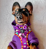 Soft Cotton Blend Dog Hoodie Purple