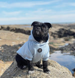 Soft Cotton Blend Dog Hoodie Sky Blue