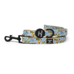 Christmas Candyland - Dog Lead