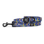 Arabian Nights - Blue and Gold Dog Lead