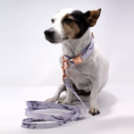 Arabella Marble Dog Lead XSmall