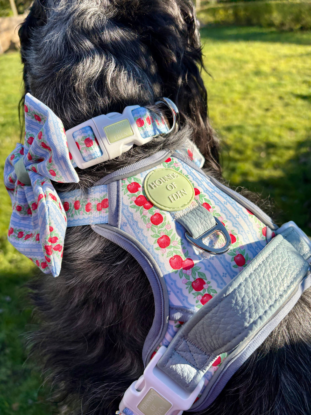 Eden's Orchard - Supaw Strong™ Dog Harness (XS-XL)