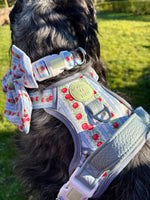 Eden's Orchard - Supaw Strong™ Dog Harness (XS-XL)