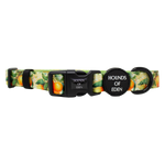 Simply the Zest - Oranges Dog Harness