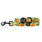 Simply the Zest - Oranges Dog Harness