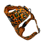 Burnt Orange Leopard Design Dog Harness