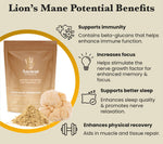 Lion's Mane Mushroom Extract Powder - 30% Beta-glucan (60g)