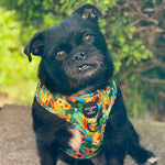 Pupaya Design Dog Harness