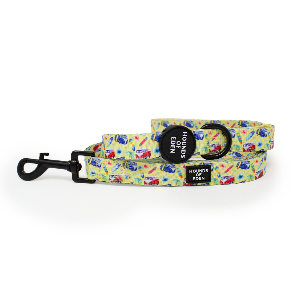 Surf's Up!- Dog Harness