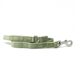 Sage Mist - Green Velvet Dog Lead with Silver Hardware
