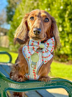 Eden's Orchard - Leather Dog Lead