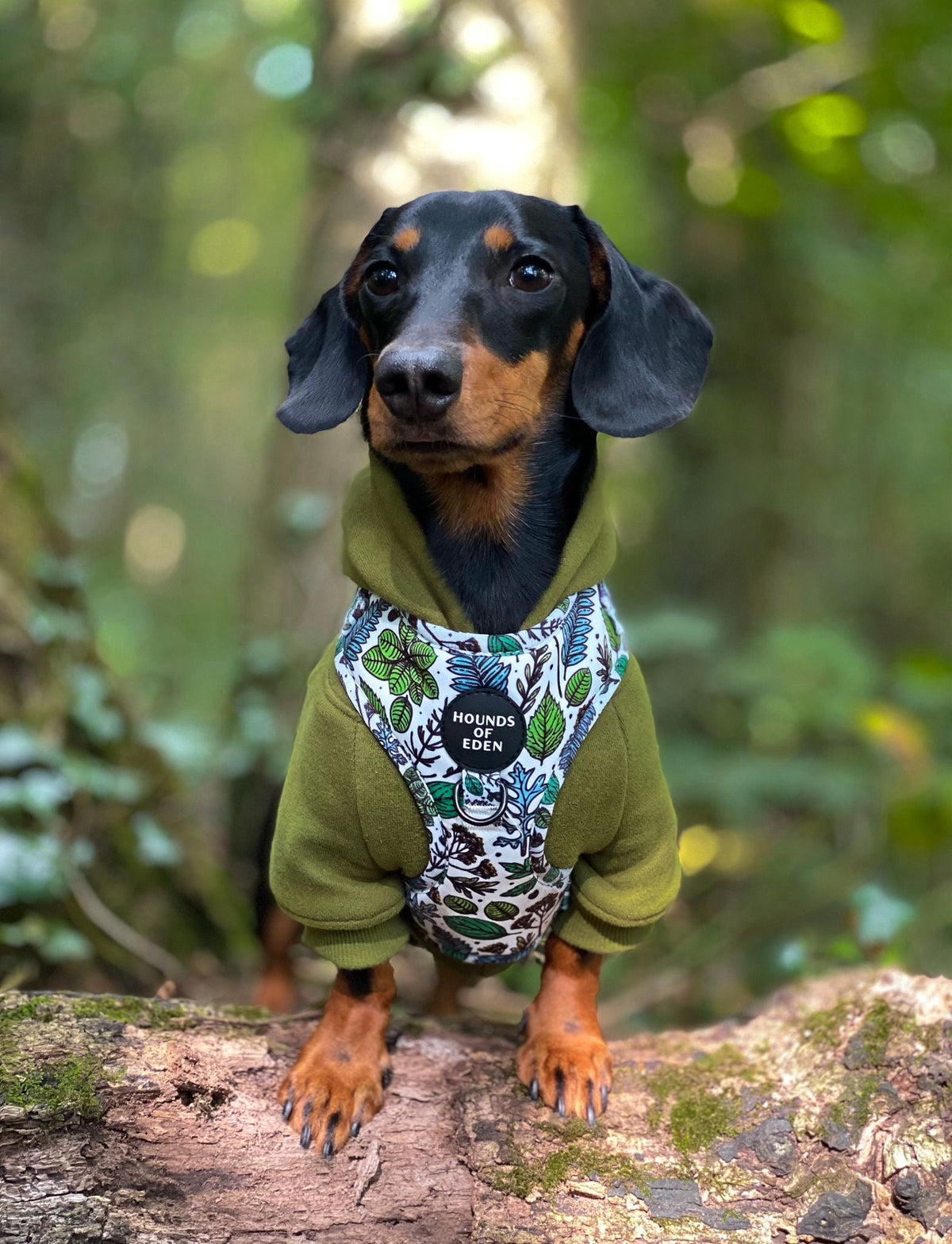 Soft Cotton Blend Dog Hoodie Black