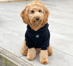 Soft Cotton Blend Dog Hoodie Black