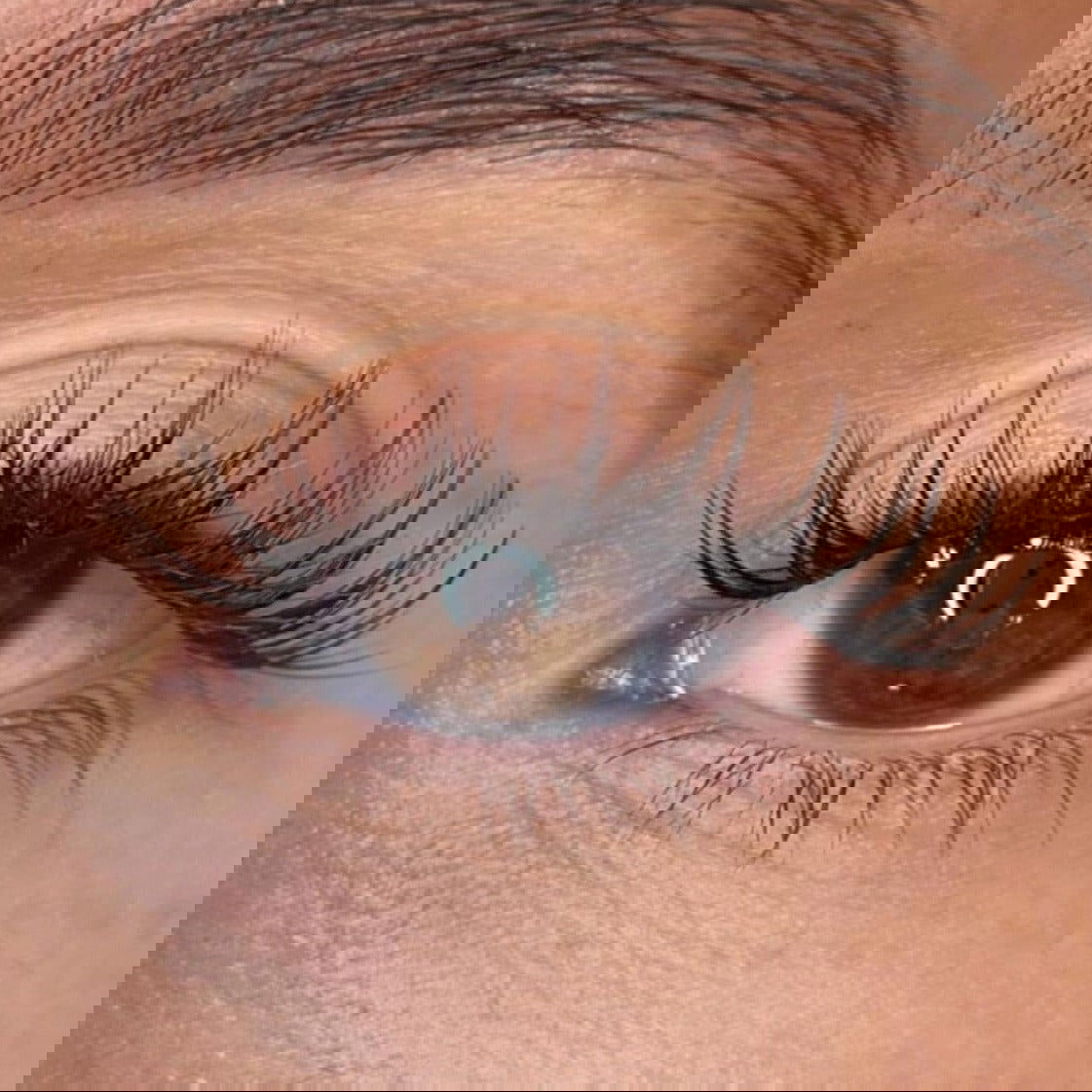 Alma Lash Ribbons® Collections