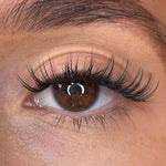 Alma Lash Ribbons® Collections