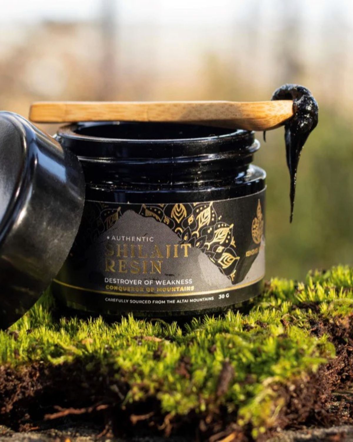 Altai Pure Shilajit Resin 30g