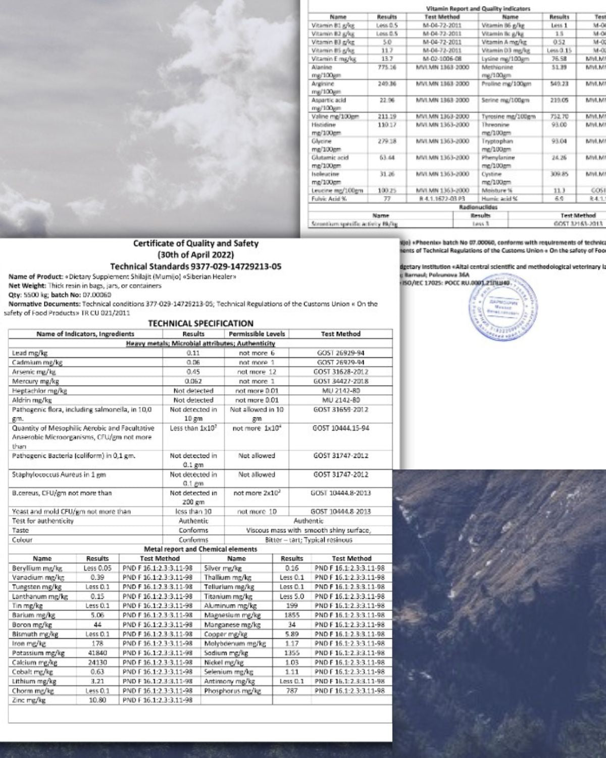 Altai Pure Shilajit Resin 30g