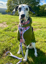 Soft Cotton Blend Dog Hoodie Red