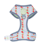 Eden's Orchard - Adjustable Dog Harness (XXS-XS)