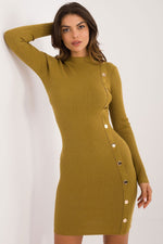 AT Knitted Half-Turtleneck Pencil Daydress with Decorative Buttons green
