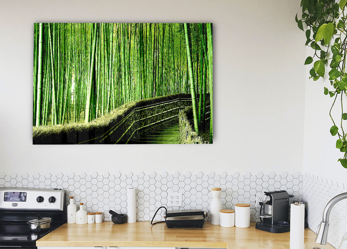 Bamboo Forest Background