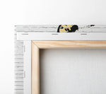 Banksy Sweep It Under The Carpet