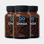 Chaga 500mg 90 Days