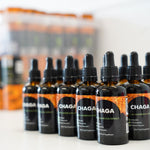 Chaga Mushroom Liquid Supplement