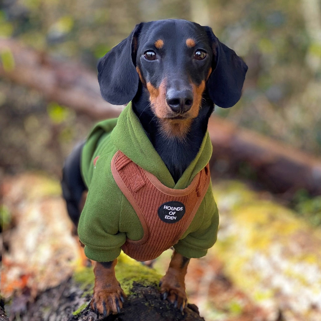 Soft Cotton Blend Dog Hoodie Black