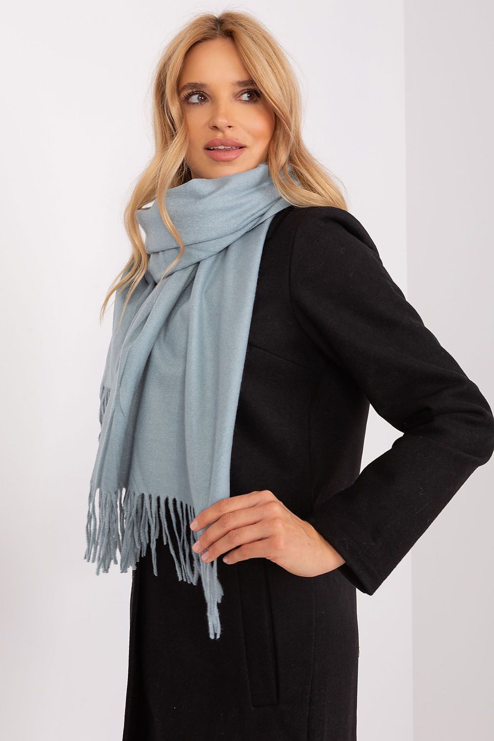 AT Warm Tassel Winter Shawl Scarf