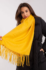 AT Warm Tassel Winter Shawl Scarf