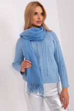 AT Warm Tassel Winter Shawl Scarf