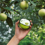 DKNY Be Delicious Eau de Parfum