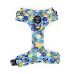 Under The Sea Design Dog Harness