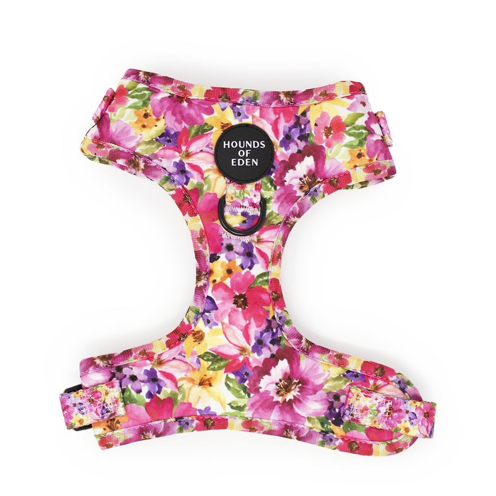 'Florentina' - Pink Floral Dog Harness