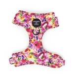 'Florentina' - Pink Floral Dog Harness